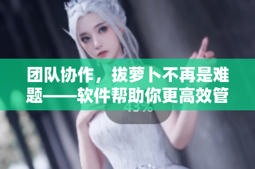 團(tuán)隊(duì)協(xié)作，拔蘿卜不再是難題——軟件幫助你更高效管理項(xiàng)目