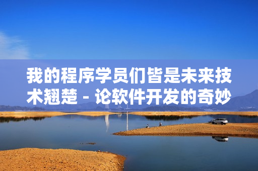 我的程序學員們皆是未來技術翹楚 - 論軟件開發(fā)的奇妙之旅
