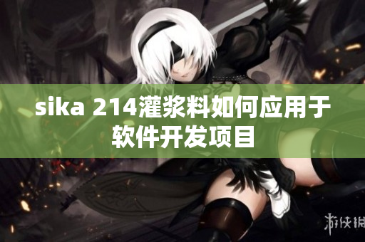 sika 214灌漿料如何應(yīng)用于軟件開發(fā)項目