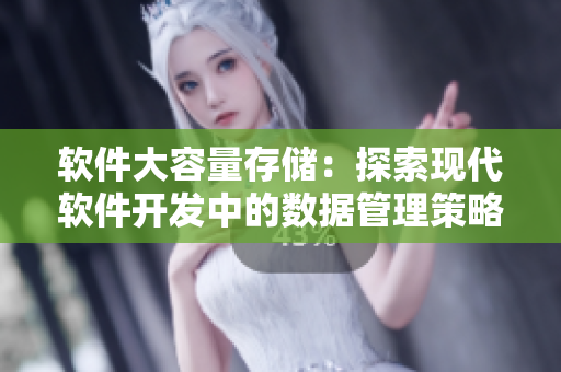 軟件大容量存儲：探索現(xiàn)代軟件開發(fā)中的數(shù)據(jù)管理策略