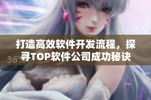 打造高效軟件開(kāi)發(fā)流程，探尋TOP軟件公司成功秘訣
