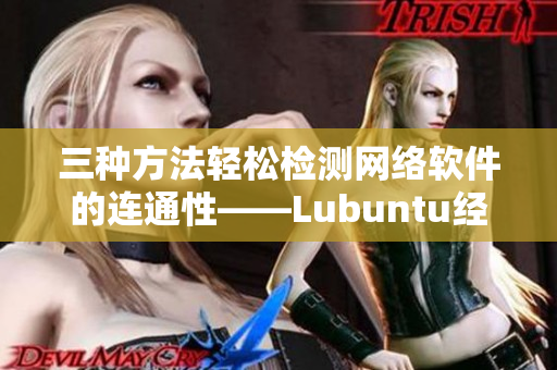 三種方法輕松檢測網(wǎng)絡(luò)軟件的連通性——Lubuntu經(jīng)驗分享