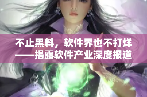 不止黑料，軟件界也不打烊——揭露軟件產(chǎn)業(yè)深度報道!