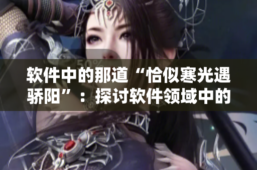軟件中的那道“恰似寒光遇驕陽”：探討軟件領(lǐng)域中的瓶頸挑戰(zhàn)，六52話