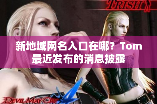 新地域網(wǎng)名入口在哪？Tom最近發(fā)布的消息披露