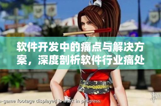 軟件開(kāi)發(fā)中的痛點(diǎn)與解決方案，深度剖析軟件行業(yè)痛處及治本之道
