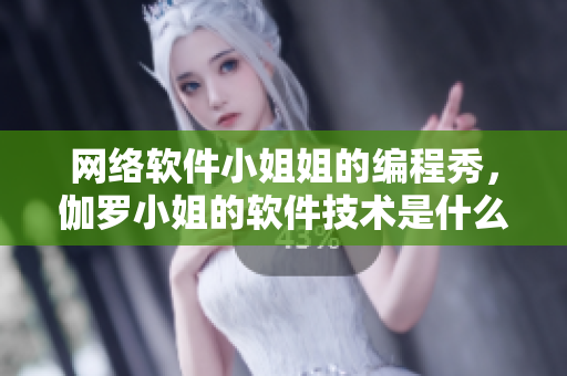 網(wǎng)絡(luò)軟件小姐姐的編程秀，伽羅小姐的軟件技術(shù)是什么水平