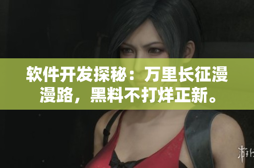 軟件開發(fā)探秘：萬(wàn)里長(zhǎng)征漫漫路，黑料不打烊正新。