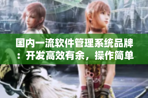 國內(nèi)一流軟件管理系統(tǒng)品牌：開發(fā)高效有余，操作簡單無多余！