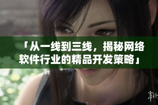 「從一線到三線，揭秘網(wǎng)絡(luò)軟件行業(yè)的精品開發(fā)策略」——一份深度報(bào)道