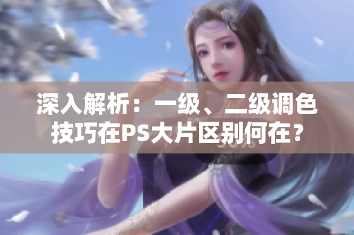 深入解析：一級、二級調(diào)色技巧在PS大片區(qū)別何在？