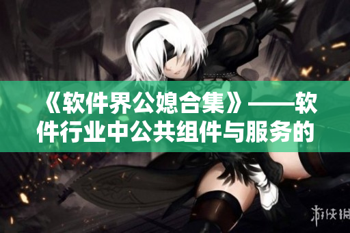 《軟件界公媳合集》——軟件行業(yè)中公共組件與服務(wù)的婚姻