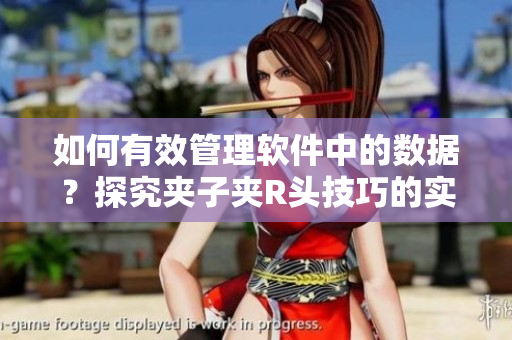 如何有效管理軟件中的數(shù)據(jù)？探究夾子夾R頭技巧的實(shí)用性