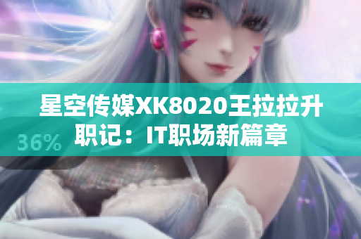星空傳媒XK8020王拉拉升職記：IT職場(chǎng)新篇章