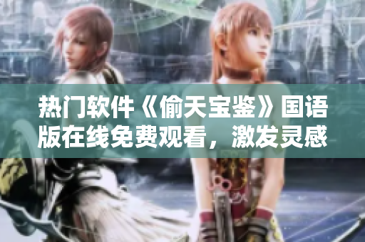 熱門軟件《偷天寶鑒》國(guó)語版在線免費(fèi)觀看，激發(fā)靈感助您提升編程技能