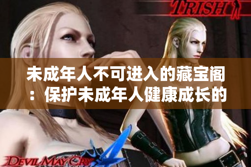 未成年人不可進入的藏寶閣：保護未成年人健康成長的必要性