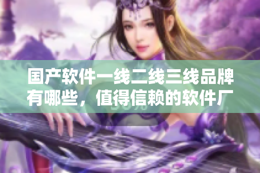 國(guó)產(chǎn)軟件一線二線三線品牌有哪些，值得信賴的軟件廠商介紹