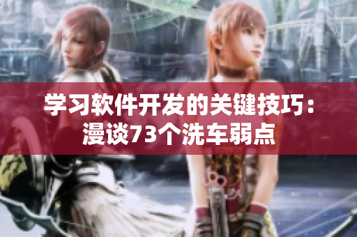 學(xué)習(xí)軟件開發(fā)的關(guān)鍵技巧：漫談73個洗車弱點