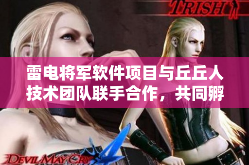 雷電將軍軟件項目與丘丘人技術(shù)團(tuán)隊聯(lián)手合作，共同孵化新一代成果