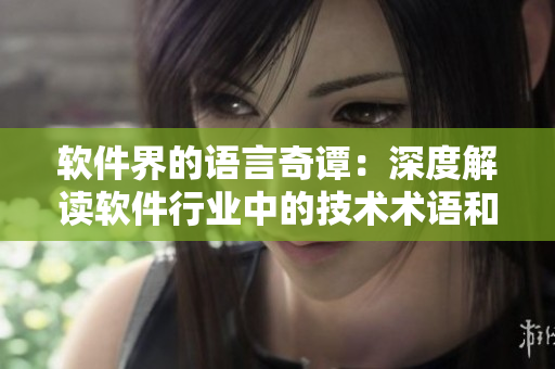 軟件界的語言奇譚：深度解讀軟件行業(yè)中的技術(shù)術(shù)語和關(guān)鍵詞
