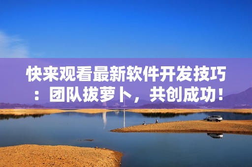 快來觀看最新軟件開發(fā)技巧：團隊拔蘿卜，共創(chuàng)成功！