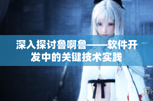 深入探討魯啊魯——軟件開發(fā)中的關(guān)鍵技術(shù)實(shí)踐