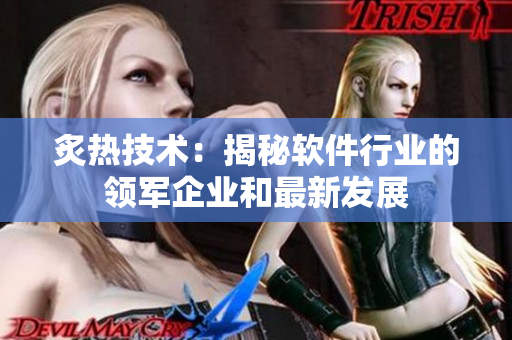 炙熱技術(shù)：揭秘軟件行業(yè)的領(lǐng)軍企業(yè)和最新發(fā)展