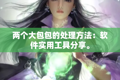 兩個大包包的處理方法：軟件實用工具分享。
