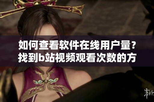如何查看軟件在線用戶量？找到b站視頻觀看次數(shù)的方法