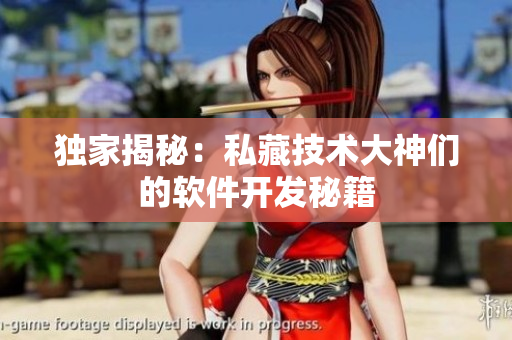 獨家揭秘：私藏技術(shù)大神們的軟件開發(fā)秘籍