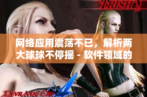 網(wǎng)絡(luò)應(yīng)用震蕩不已，解析兩大球球不停搖 - 軟件領(lǐng)域的輕松解讀