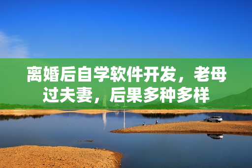 離婚后自學(xué)軟件開發(fā)，老母過夫妻，后果多種多樣