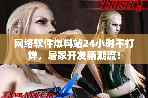 網(wǎng)絡(luò)軟件爆料站24小時(shí)不打烊，居家開發(fā)新潮流！