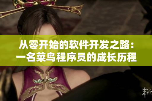 從零開始的軟件開發(fā)之路：一名菜鳥程序員的成長歷程