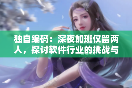 獨自編碼：深夜加班僅留兩人，探討軟件行業(yè)的挑戰(zhàn)與機遇
