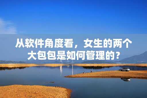 從軟件角度看，女生的兩個大包包是如何管理的？