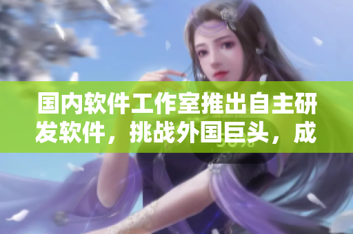 國內(nèi)軟件工作室推出自主研發(fā)軟件，挑戰(zhàn)外國巨頭，成為新華山上的“911”