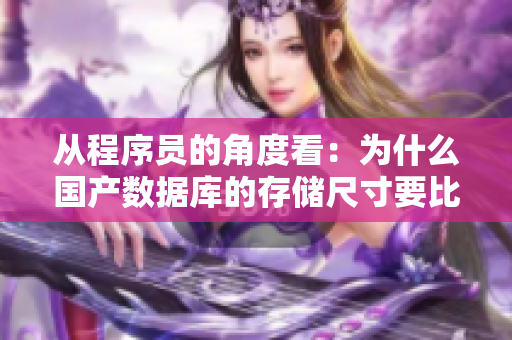 從程序員的角度看：為什么國產(chǎn)數(shù)據(jù)庫的存儲尺寸要比歐洲的大？