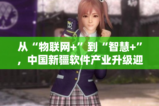 從“物聯(lián)網(wǎng)+”到“智慧+”，中國新疆軟件產(chǎn)業(yè)升級迎來新機遇