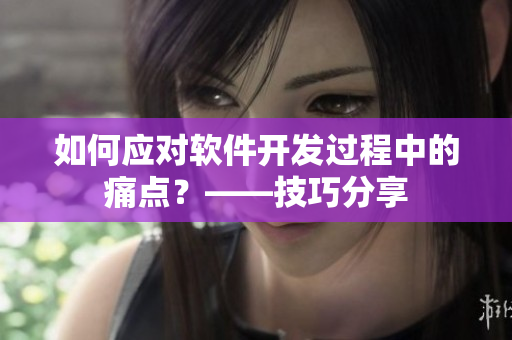 如何應(yīng)對軟件開發(fā)過程中的痛點？——技巧分享