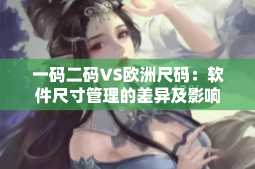 一碼二碼VS歐洲尺碼：軟件尺寸管理的差異及影響