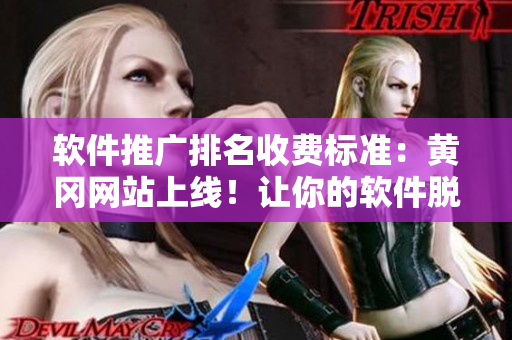 軟件推廣排名收費標(biāo)準(zhǔn)：黃岡網(wǎng)站上線！讓你的軟件脫穎而出！