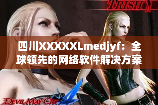 四川XXXXXLmedjyf：全球領先的網(wǎng)絡軟件解決方案提供商