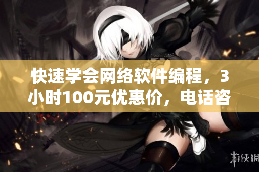 快速學(xué)會(huì)網(wǎng)絡(luò)軟件編程，3小時(shí)100元優(yōu)惠價(jià)，電話咨詢預(yù)定