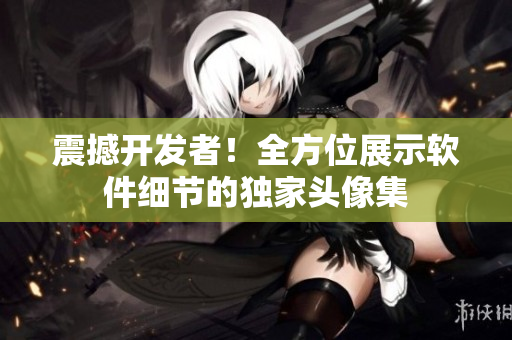 震撼開發(fā)者！全方位展示軟件細(xì)節(jié)的獨(dú)家頭像集
