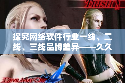探究網(wǎng)絡(luò)軟件行業(yè)一線、二線、三線品牌差異——久久軟件精品探究
