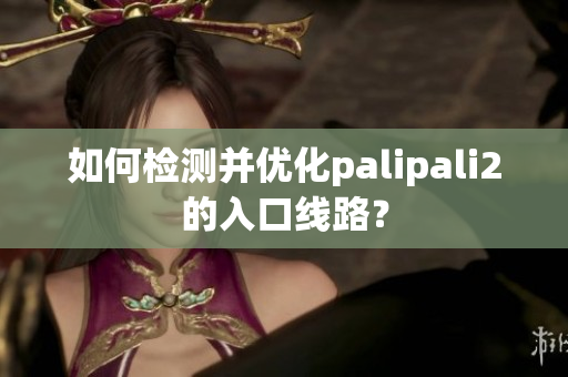 如何檢測并優(yōu)化palipali2的入口線路？
