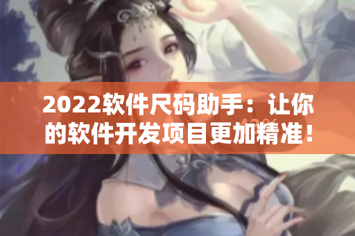 2022軟件尺碼助手：讓你的軟件開發(fā)項目更加精準！