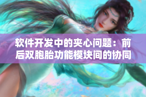 軟件開發(fā)中的夾心問題：前后雙胞胎功能模塊間的協(xié)同設(shè)計