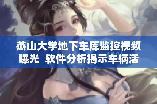 燕山大學(xué)地下車(chē)庫(kù)監(jiān)控視頻曝光  軟件分析揭示車(chē)輛活動(dòng)模式
